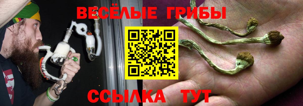 Псилоцибиновые грибы Magic Shrooms Казань