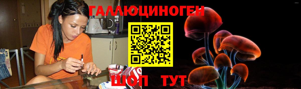 Казань  Галлюциногенные грибы Magic Shrooms  Вход с VPN 